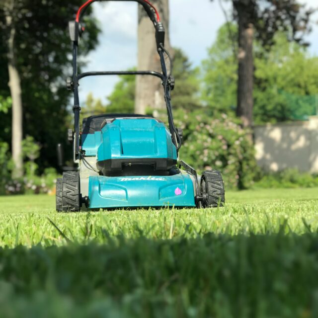 Blue lawn mower on a green lawn with trees in the background on a sunny day.