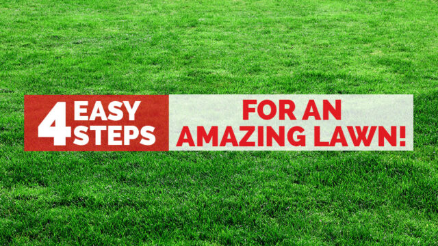 Lush green lawn background with text "Easy Steps for an Amazing Lawn" in bold red and white letters across the center.