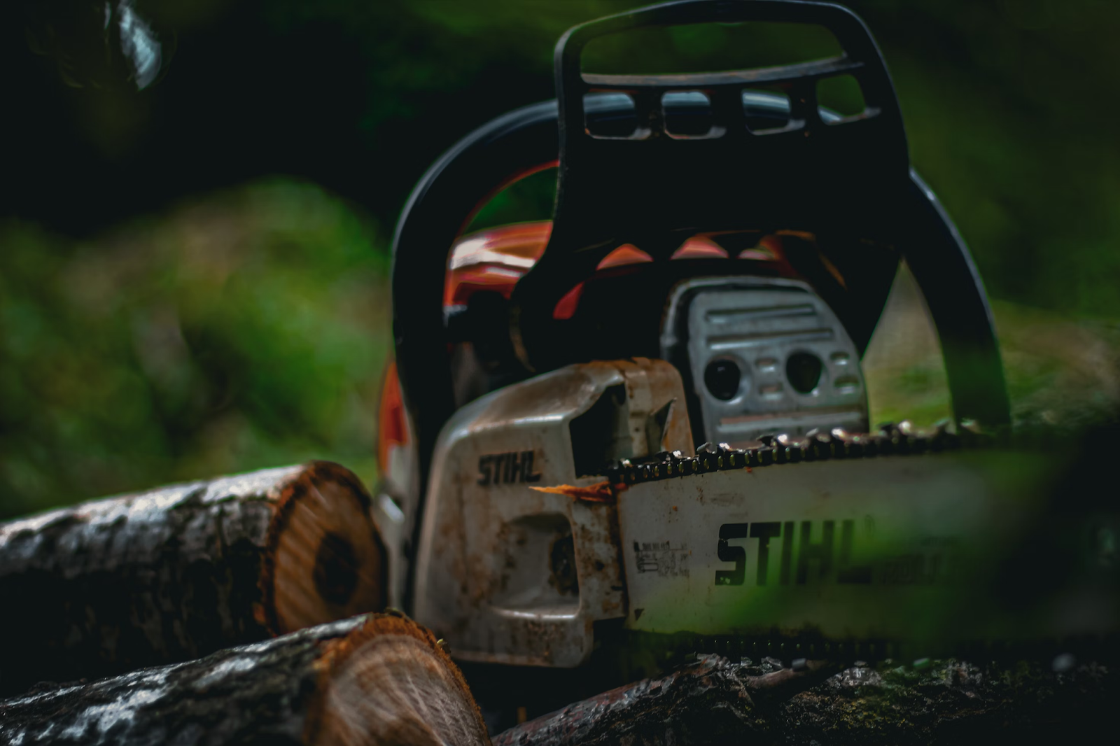 This image shows a chainsaw set down beside logs.