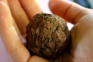 Flower beds ball of soil in hand