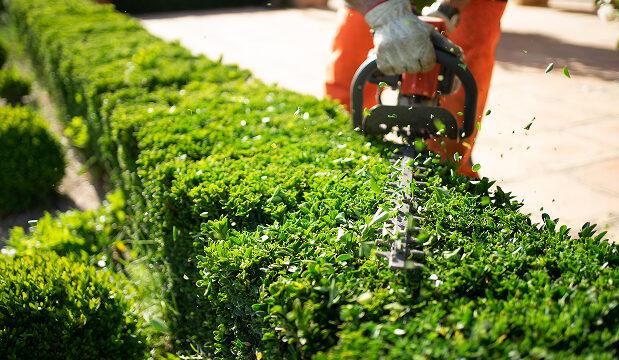 Landscaping Equipment