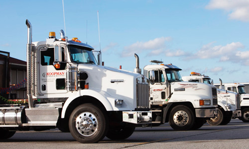 White semi-trucks lined up in a parking lot under a clear blue sky.