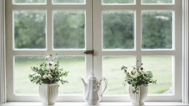 The picture depicts French-style windows with white paneling, two potted plants, and a ceramic watering can. The outside is out of focus.