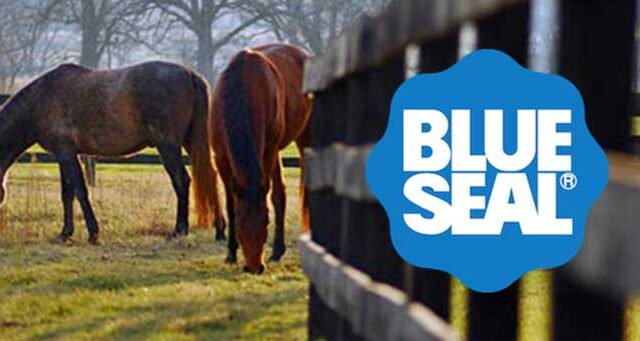 Two horses grazing near a wooden fence with a blue badge displaying the text "Blue Seal" in the foreground.