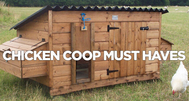 Wooden chicken coop on grass with a small door, featuring the text "Chicken Coop Must Haves" in bold white letters.