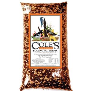 coles blazin hot bird seed