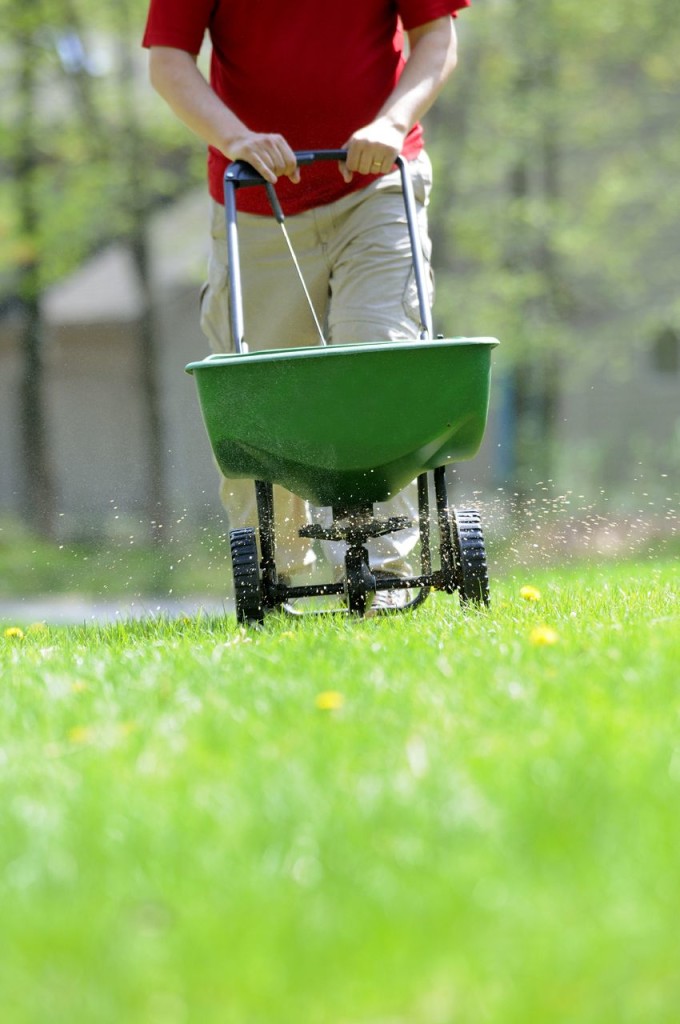 fertilizer spreader