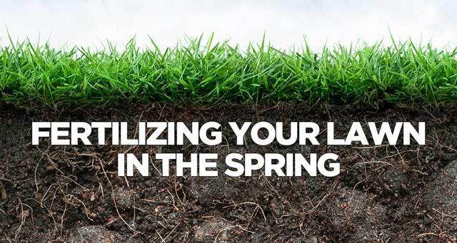 Cross-section of healthy grass with soil, text reads "Fertilizing Your Lawn in the Spring"