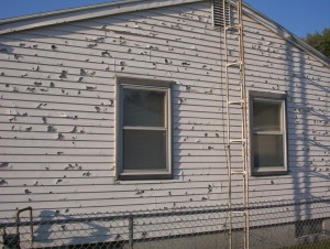Hail damage without Hardie Board