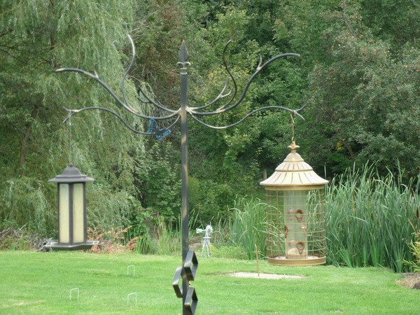 Staging a bird feeder in your yard