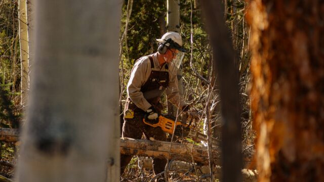 This image depicts a person wearing protective gear using a chainsaw to cut through wood, showing proper technique and handling.
