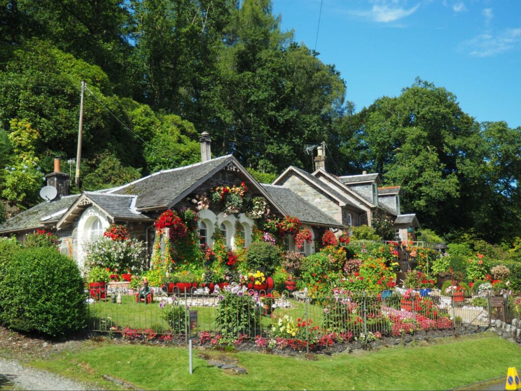 Massachusetts Native Plants Make Gardening Easy