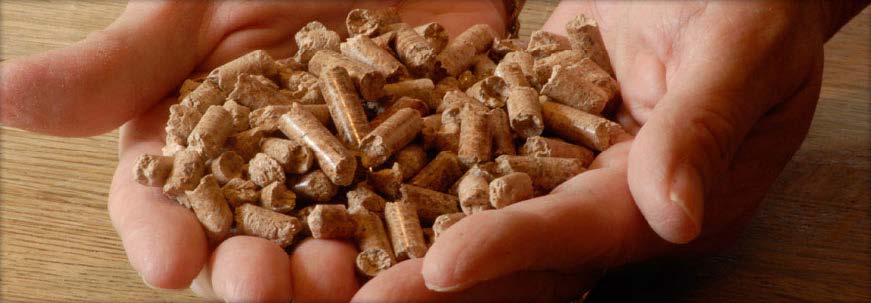 pellets