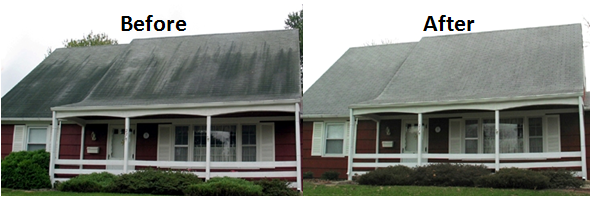 s&f before and after
