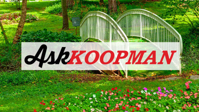 Garden with a small arched bridge over grass and flowers, featuring the text "Ask KOOPMAN" across the image.