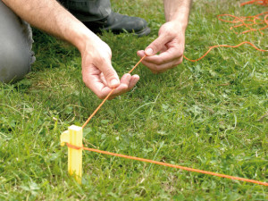String line