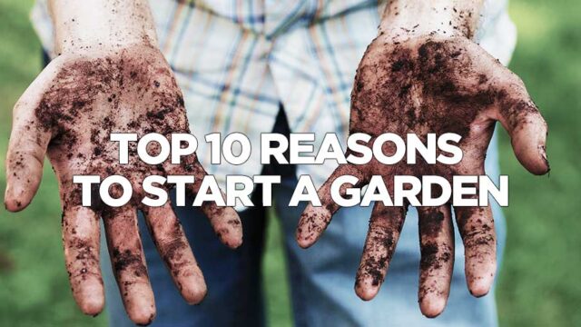 Hands covered in soil with text overlay: "Top 10 Reasons to Start a Garden"