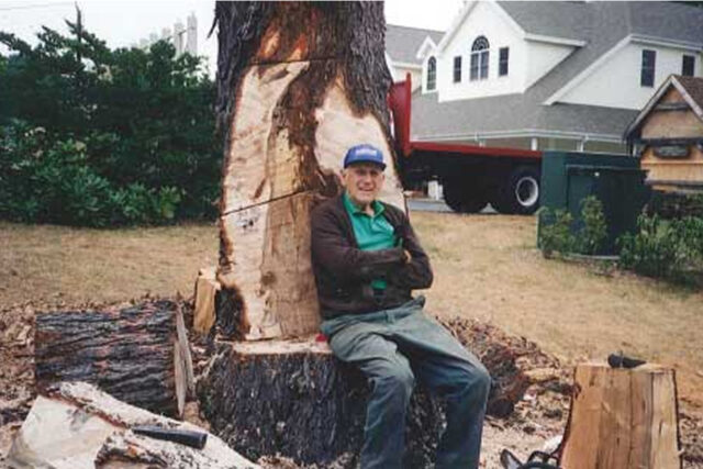 Man sitting on a partially chopped tree trunk in a yard with houses and a truck in the background.