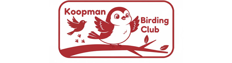 Koopman Birding Club
